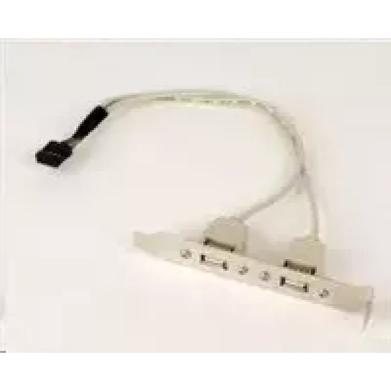 Gembird CCUSBRECEPTACLE vidinis USB 2.0 adapteris su dviem lizdais