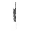 TV laikiklis Gembird WM-60ST-01 32–60 colių, VESA 100x100–400x400, iki 36,4 kg, pakreipimas -2°–10°, atstumas nuo sienos 4,2–45,2 cm, juodas