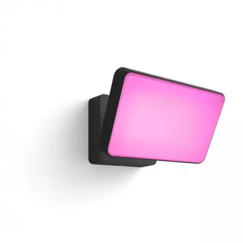 Išmanusis sieninis šviestuvas Philips Hue Discover Outdoor Floodlight LED juodas 24V