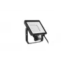 Prožektorius Philips LED 50 W 4000 K IP65 juodas