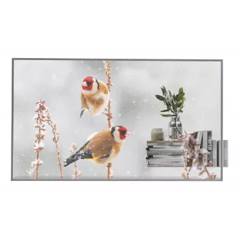 LG 55EW5P-M Skaidrus OLED ekranas 139,7 cm (55 col.) Full HD 600 cd/m² Sidabrinis Liečiamas 18/7