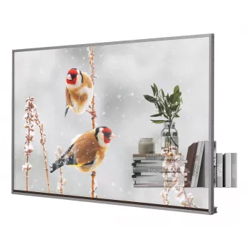 LG 55EW5P-M Skaidrus OLED ekranas 139,7 cm (55 col.) Full HD 600 cd/m² Sidabrinis Liečiamas 18/7
