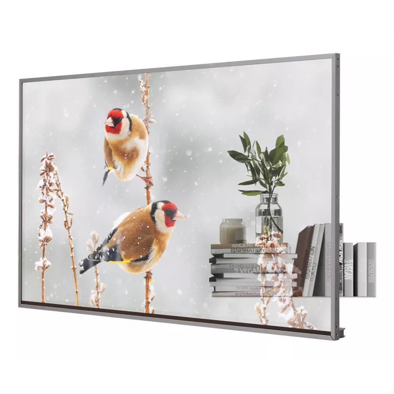 LG 55EW5P-M Skaidrus OLED ekranas 139,7 cm (55 col.) Full HD 600 cd/m² Sidabrinis Liečiamas 18/7