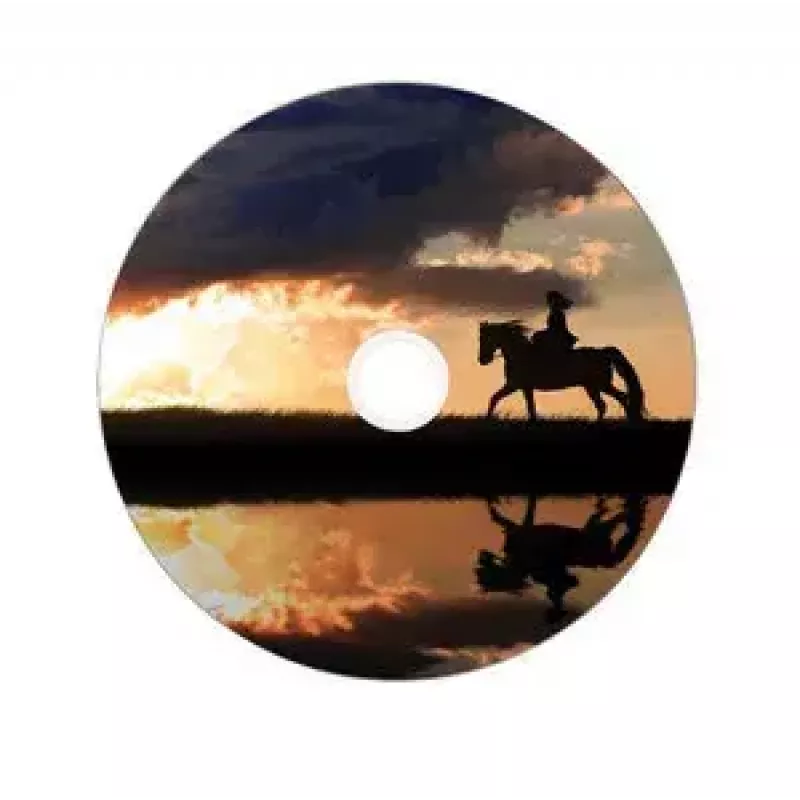 Verbatim DVD+R Double Layer Wide Inkjet Printable 43703 (50 vnt., 8.5 GB, 8x)