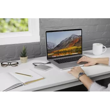 Verbatim Store 'n' Go ALU Slim 1TB išorinis kietasis diskas sidabrinis