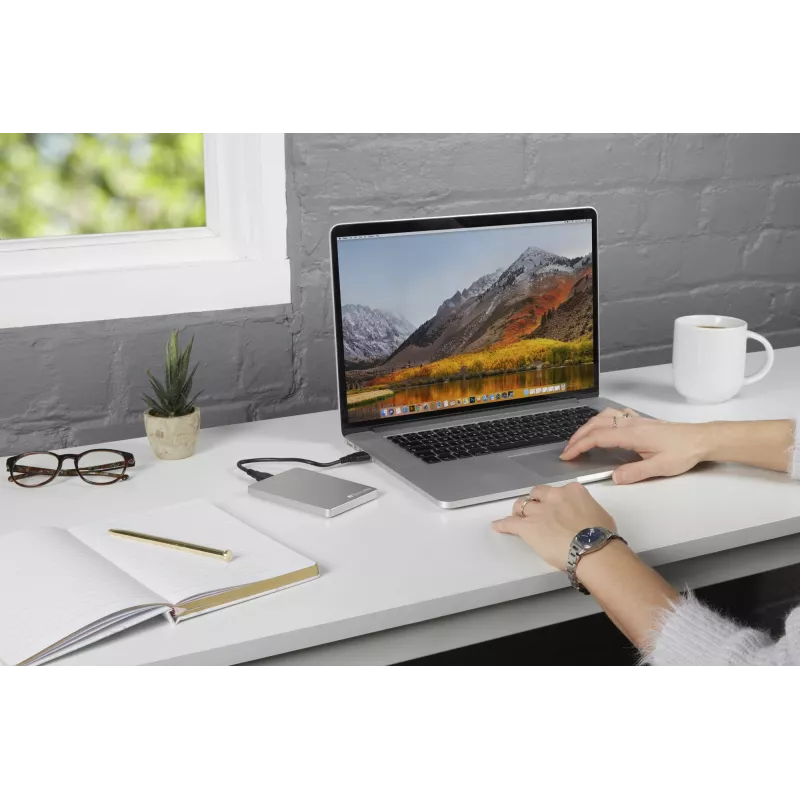 Verbatim Store 'n' Go ALU Slim 1TB išorinis kietasis diskas sidabrinis