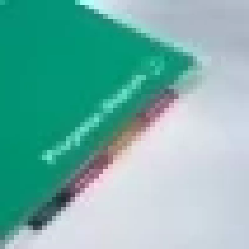 GBC laminavimo maišelis A4+ išankstiniu perforavimu 125 mikronai, blizgus, A4 Maxi, 228 mm, 0,25 mm, 303 mm, 100 vnt.