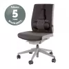 Fellowes Professional Series Ultimate atraminė nugaros pagalvėlė biuro kėdei su antibakterine apsauga - H36,5 x P37,5 x G5,5 cm