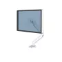 Fellowes Platinum Series monitor laikiklis – 8 kg, iki 40 colių ekranams, reguliuojamas, VESA 75x75/100x100, baltas