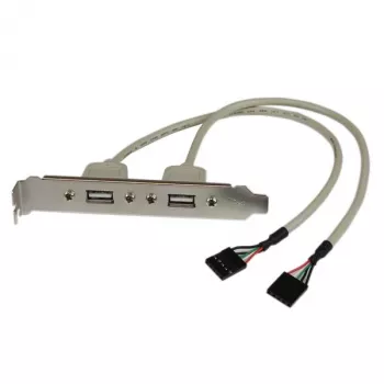 StarTech.com 2 prievadų USB A moteriška lizdo plokštelė, 2 x IDC, 2 x USB A, 0,286 m, sidabrinė