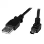 StarTech.com 1m Mini USB laidas - A iki kampuoto Mini B