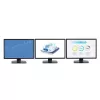 StarTech.com 3 prievadų kelių monitorių adapteris – DisplayPort 1.2 MST šakotuvas iki dviejų 4K 30Hz ir vieno 1080p – vaizdo skirstytuvas išplėstiniam darbalaukiui, skirtas tik Windows PC – DP į 3x DP monitorius