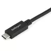 StarTech.com 2 m USB-C į DVI laidas - 1920 x 1200 - juodas