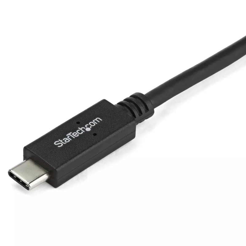 StarTech.com 2 m USB-C į DVI laidas - 1920 x 1200 - juodas