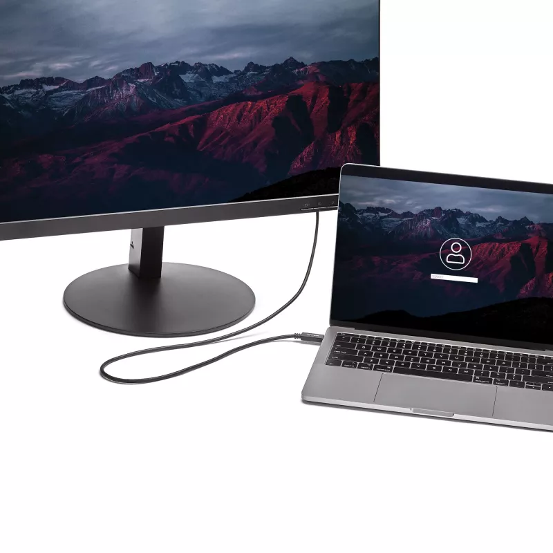 StarTech.com 2 m USB-C į DVI laidas - 1920 x 1200 - juodas