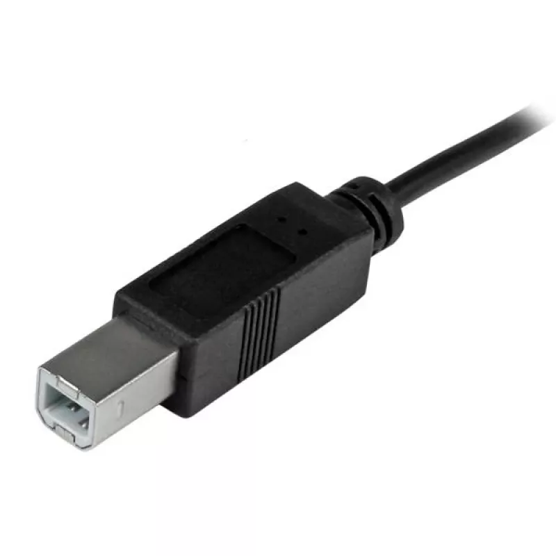 StarTech.com USB-C į USB-B laidas – vyriški lizdai – 2 m – USB 2.0