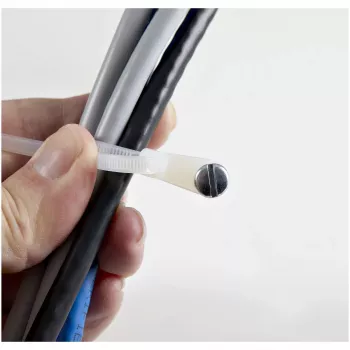 Kabelių raiščiai su tvirtinimo anga, StarTech.com, 20 cm, 100 vnt., balti