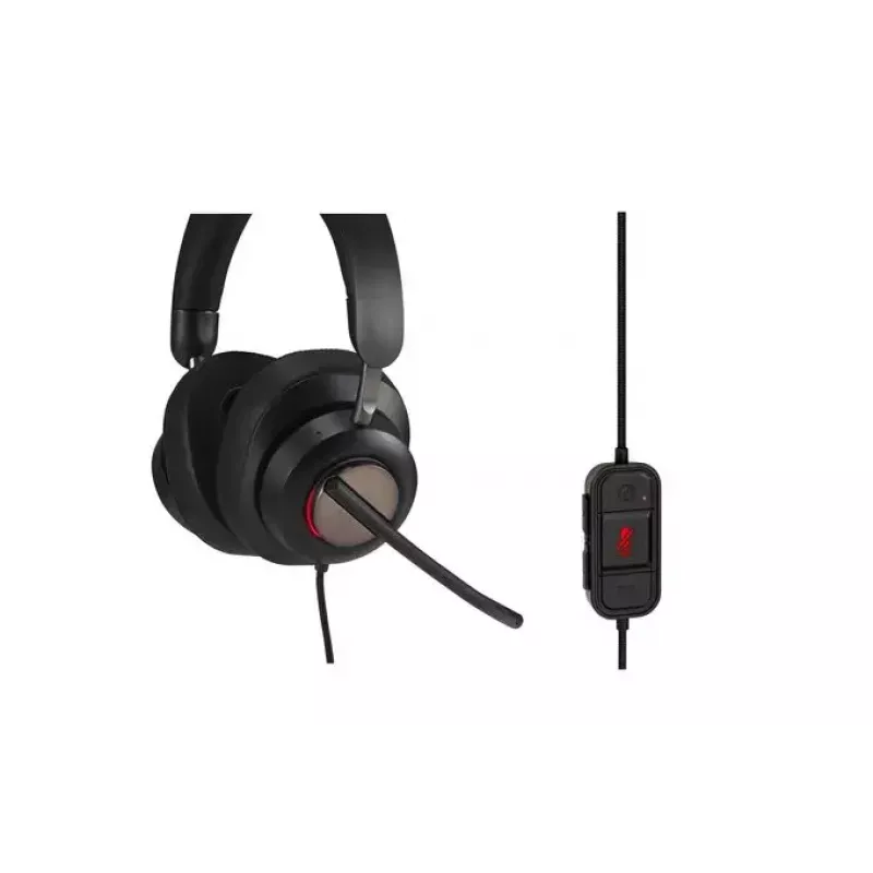 Ausinės Kensington H2000 USB-C ant ausų