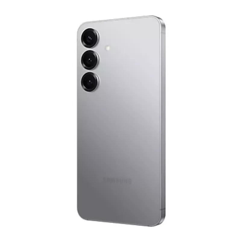 Samsung Galaxy S25 Enterprise Edition 15.8 cm (6.2 colio) Dual SIM Android 15 5G USB Type-C 12 GB 256 GB 4000 mAh Sidabrinis