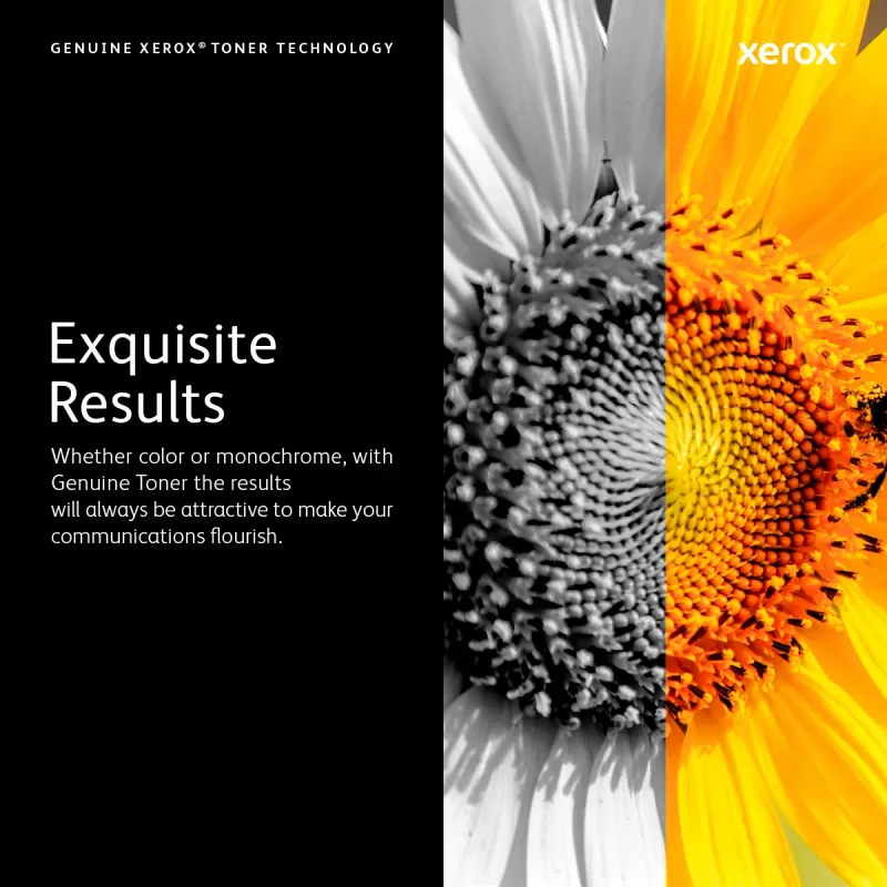 Xerox Genuine Phaser™ 6700 purpurinis didelės talpos kasečių toneris (12000 puslapių) - 106R01508