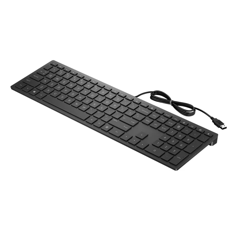 HP Pavilion Wired Keyboard 300, pilno dydžio (100%), laidinė, USB, mechaninė, juoda