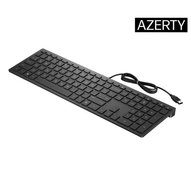 HP Pavilion Wired Keyboard 300, pilno dydžio (100%), laidinė, USB, mechaninė, juoda