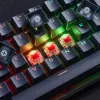 HyperX Alloy Origins 65 – mechaninė žaidimų klaviatūra, HX Aqua (JAV išdėstymas)