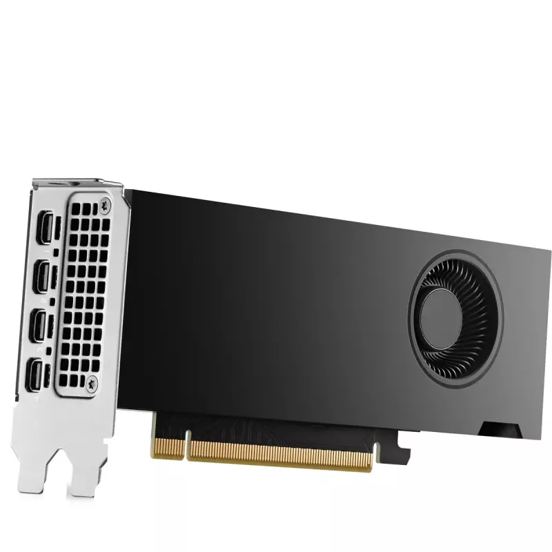 HP NVIDIA RTX 2000 Ada 16GB GDDR6 vaizdo plokštė, 4x Mini DisplayPort (8D6B8AA)