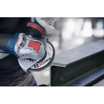 Bosch 2 608 619 198 šlifavimo disko priedas – žiedinis šlifavimo diskas