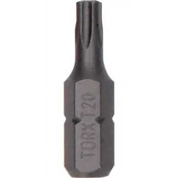 Bosch antgalis varžtams sukti Extra Hard T20 25 mm 1/4 inch (25 vnt.)