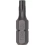 Bosch antgalis varžtams sukti Extra Hard T20 25 mm 1/4 inch (25 vnt.)