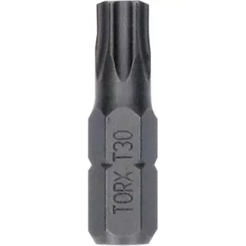 Antgalis Bosch Extra Hard T30 25 mm 2607002801