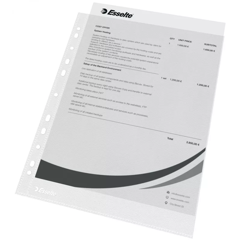 Esselte plastikinės kišenės A4 – Economy –, skaidrios, polipropilenas (PP), 210 x 297 mm