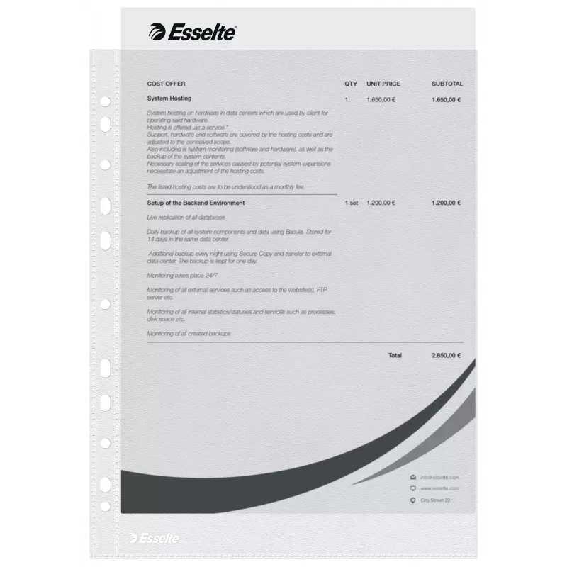 Esselte plastikinės kišenės A4 – Economy –, skaidrios, polipropilenas (PP), 210 x 297 mm