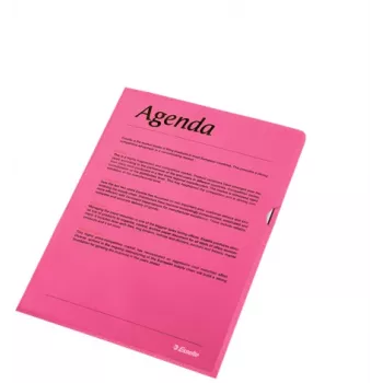 Esselte aplankas 105my A4 dėžutė po 100 vnt., A4, polipropilenas (PP), raudona, vertikali, 220 mm, 1 mm