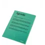 Esselte aplankas 105my A4 dėžutėje 100 vnt., A4, polipropilenas (PP), žalias, vertikalus, 220 mm, 1 mm