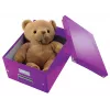 Leitz Click & Store WOW vidutinė laikymo dėžė, violetinė, kartonas, 16,7 L, 281 mm, 200 mm, 265 x 335 x 188 mm
