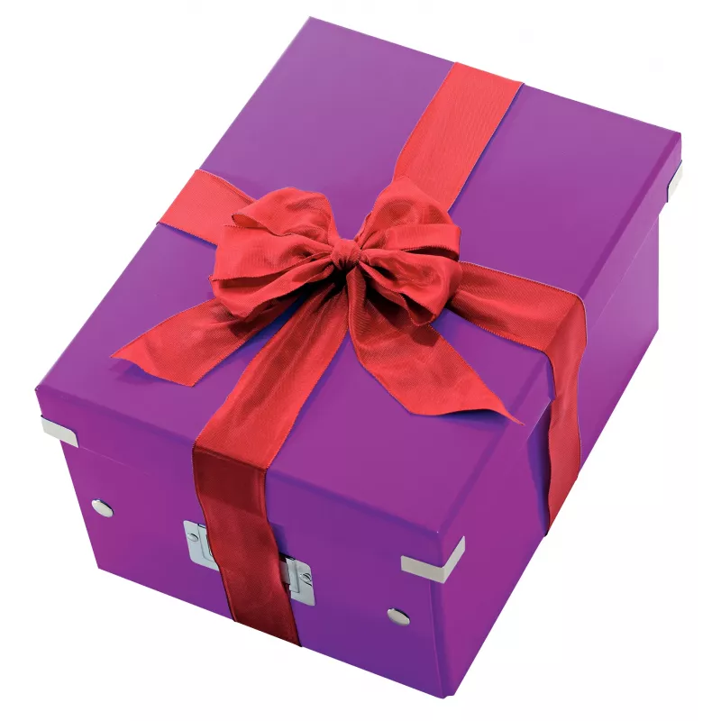 Leitz Click & Store WOW vidutinė laikymo dėžė, violetinė, kartonas, 16,7 L, 281 mm, 200 mm, 265 x 335 x 188 mm