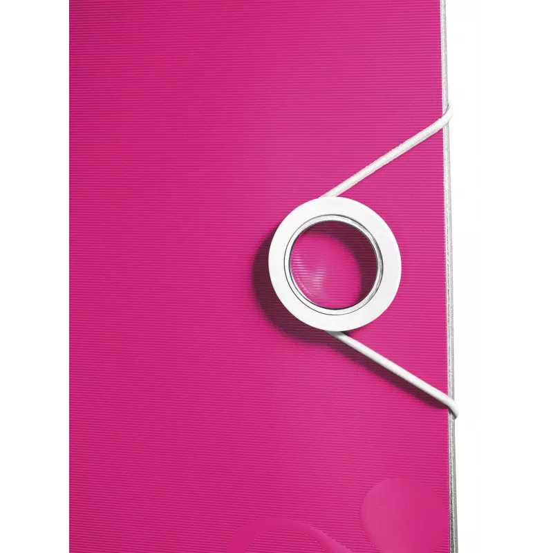 Leitz Lever Arch File Active PP WOW A4/80mm, A4, polipropilenas, rožinė, 500 lapų, 80 g/m², 8,2 cm