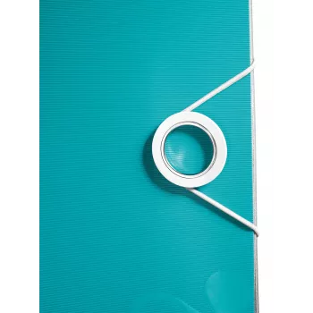 Leitz Lever Arch File Active PP WOW A4/80mm, A4, poliuretano putplastis, turkio spalva, 500 lapų, 80 g/m², 8,2 cm