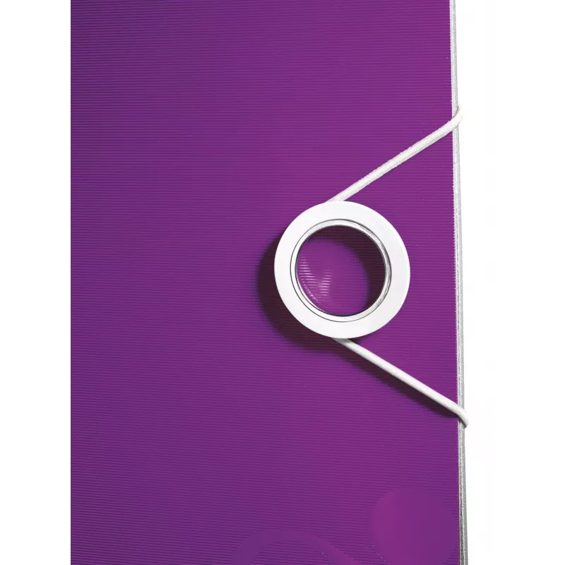 Leitz Lever Arch File Active PP WOW A4/80mm, A4, poliuretaninis putplastis, violetinė, 500 lapų, 80 g/m², 8,2 cm