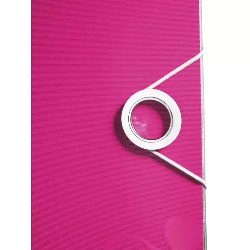 Segtuvas Leitz Lever Arch File Active PP WOW A4/65mm, A4, polipropilenas, rožinė, 350 lapų, 80 g/m², 6,5 cm