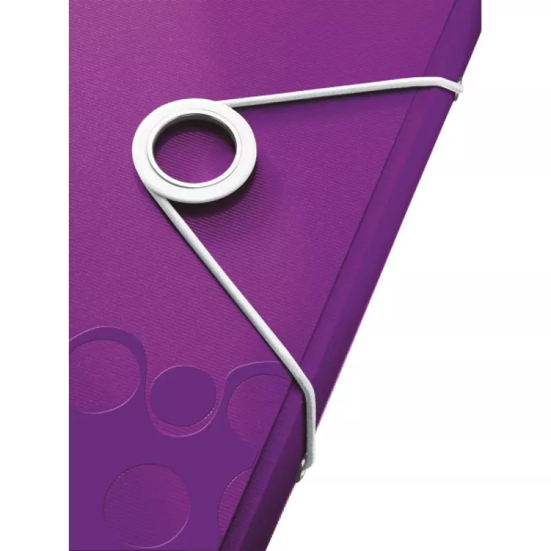 Leitz Project File WOW PP segtuvas, A4, polipropilenas (PP), violetinis, 200 lapų, 254 mm, 38 mm