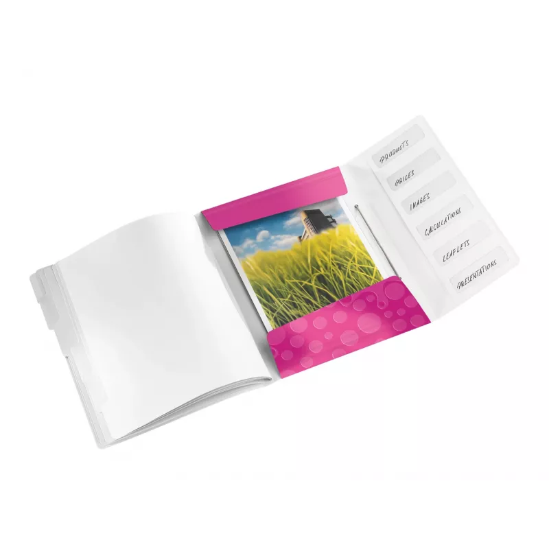 Leitz Divider Book WOW PP 6 skirtukų, A4, polipropilenas (PP), metalinis, rožinis, 200 lapų, 260 mm, 17 mm