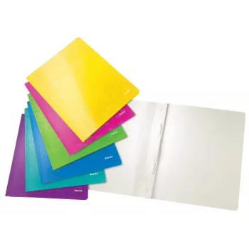 Leitz 30011099 aplankas A4 kartoninis