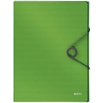 Leitz Box File Solid PP 30 mm, A4, polipropilenas, žalia, 250 lapų