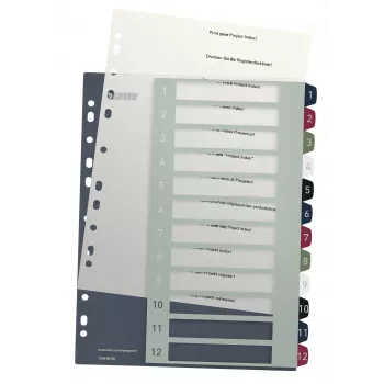 Leitz Index PC Printable 1-12 Style PP A4+