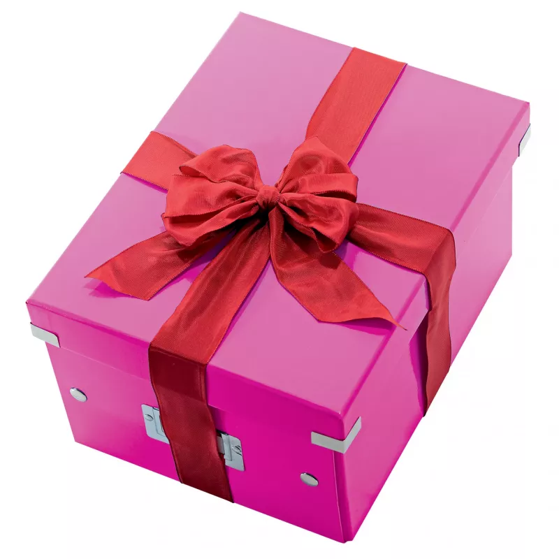 Leitz Box Click & Store WOW Cube Large Storage Box, Fuchsia, 320x360x310 mm