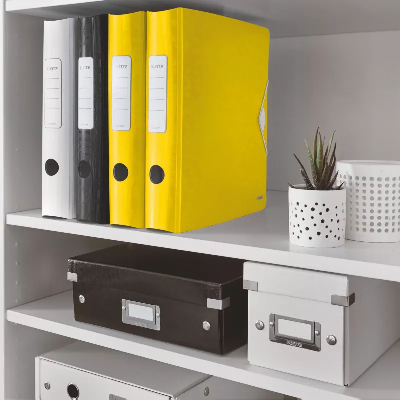 Leitz Lever Arch File Active PP WOW A4/65mm