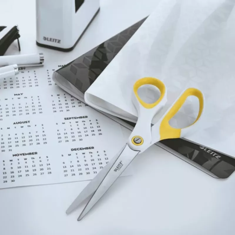 Leitz WOW Titanium biuro žirklės 205 mm, titano danga, nerūdijantis plienas